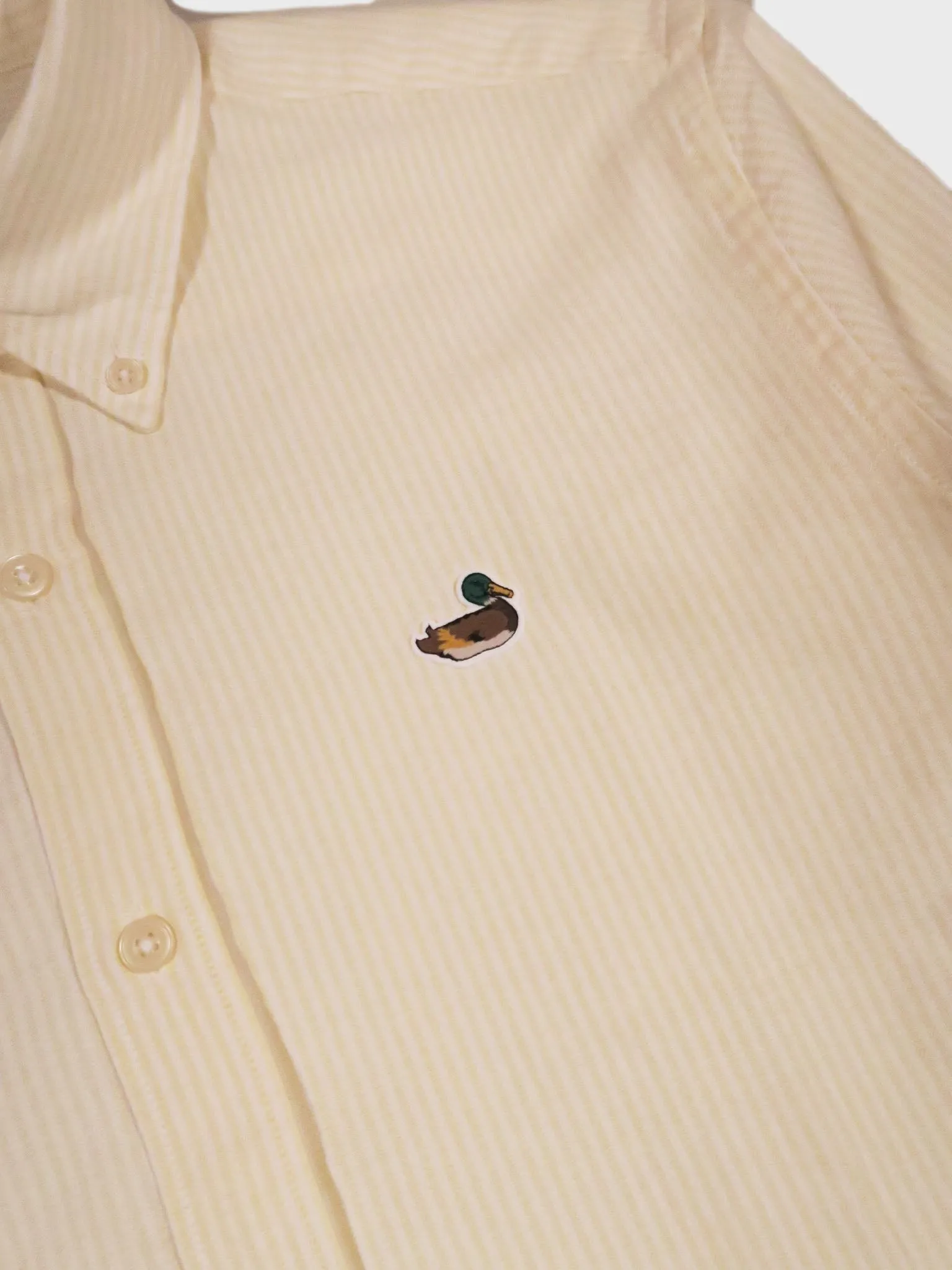 Edmmond Studios BD Striped Duck Shirt in Light Yellow