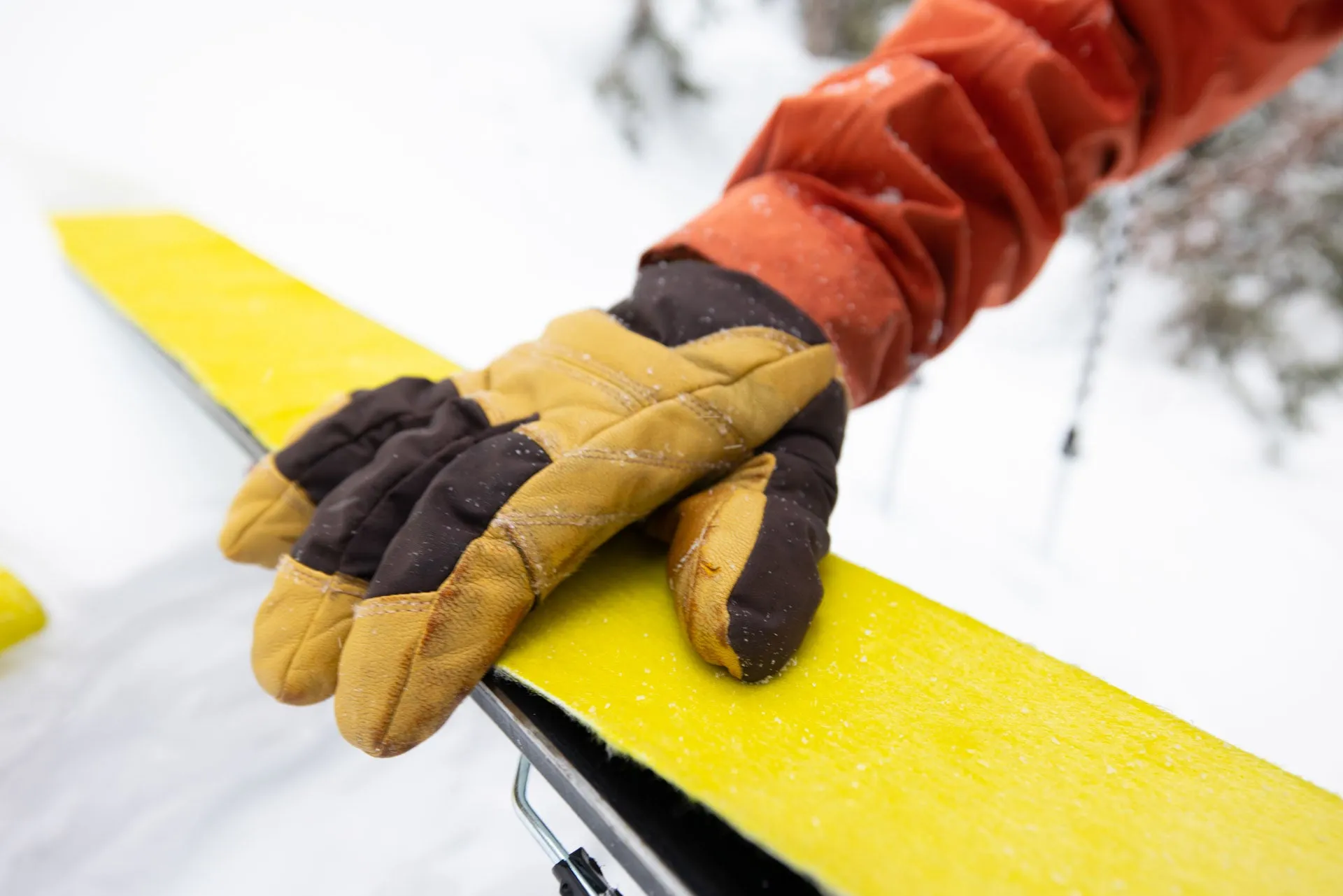 Excursion Gore-Tex Glove